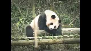 Hey Hey We&#39;re the monkeys! How aluminum in antiperspirants cause itching