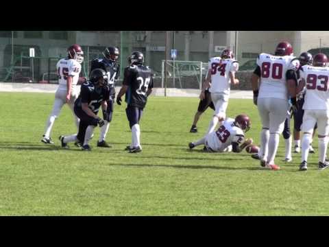 LPFA FINAL 22 May 2010