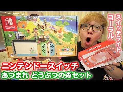 Nintendo Switch Lite あつまれ どうぶつの森セット ゲーム機本体