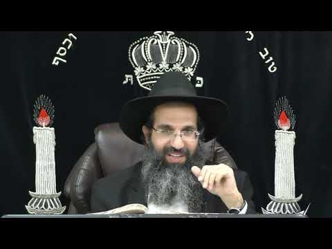 הלכות טריפות - ג' - איברים פנימיים | יורה דעה - סימן מ - מו | חלק 9 | הרב שי עובד