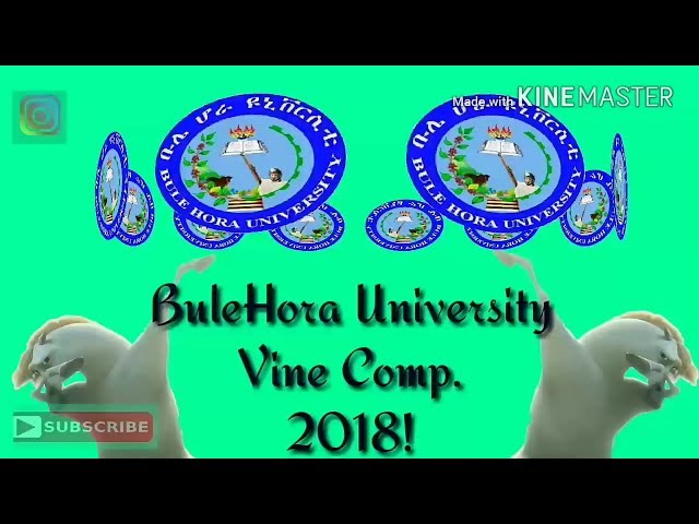Bule Hora University video #1
