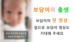 보담이의 출생 보담이의 첫 영상