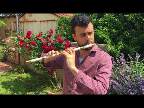 Callum Armstrong on the Plagiaulos of Koile