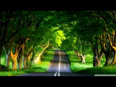 171 yexus coj kuv mus kev tshav ntuj ( Phau nkauj liab me)