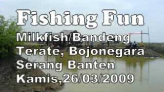 preview picture of video 'Milk Fish / Bandeng Fishing Fun'