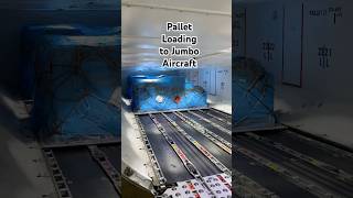 How to load pallets to jumbo airplane #cargo #aviation #shorts