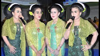 Download lagu Tayub Bojonegoro WAHYU IROMO mp3