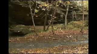 preview picture of video 'Relax at Bell Smith Springs in the Shawnee National Forest, Southern Illinois'