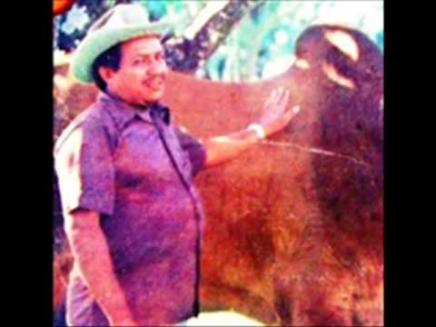 Asi Es La Vida-Damaso Figueredo