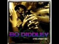 BO DIDDLEY - HEY BABY.wmv