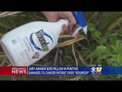 Jury Orders Monsanto To Pay $290M In Roundup Trial