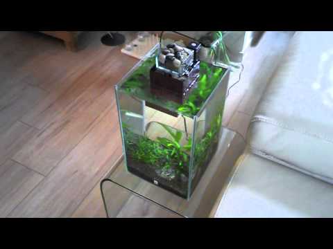 Hagen Fluval U4 video