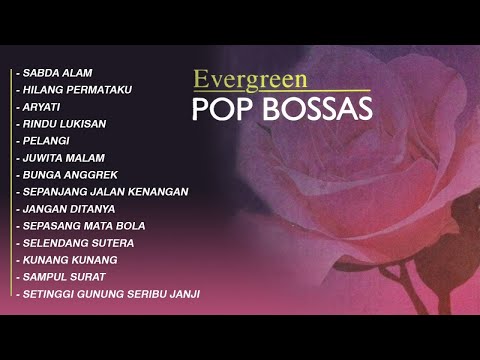 ALBUM NETTA KD - EVERGREEN POP BOSSAS