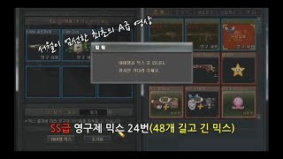 SS급 영구믹스 24번=48개나 믹스 ←어디 가도 보기 드문 길고 긴 SS급 믹스
