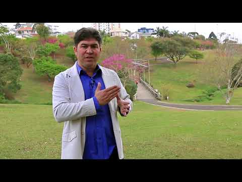 MARKETING E VENDAS - Estratégia de Marketing - Estudo de Caso
