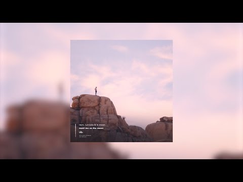 rayn, LuvLess & le moon - meet me on the moon