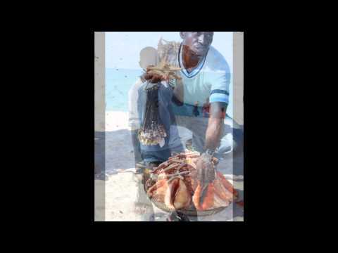 A Long and Lasting Love...... August 2013