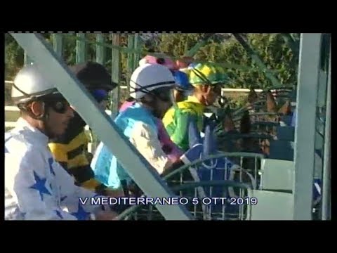 Galoppo Corse del 5 Ottobre 2019