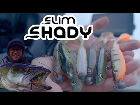 Guma Daiwa Prorex Real Slim Shady Live 10,5cm Real Perch film wideo