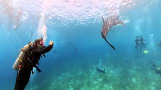 20250503Oslob full