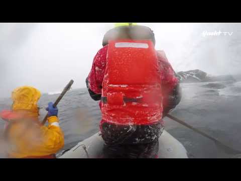 Adventure Antarctica – in Shackleton’s footsteps