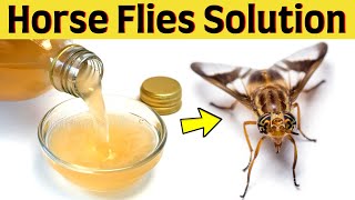 How to Get Rid Of Horse and Deer Flies Around the Swimming Pool