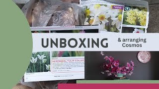Unboxing tulip bulbs from Mr Fothergill's seed catalogue | arranging Cosmos in a vintage vase