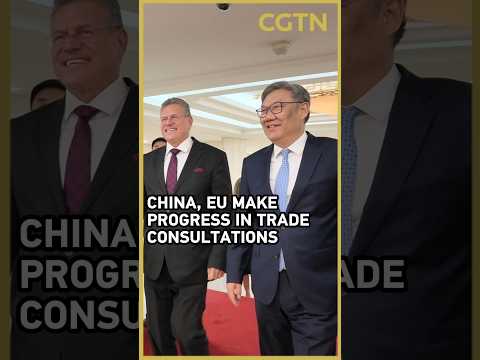 China, EU make progress in trade consultations