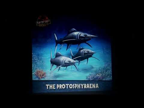 Protosphyraena appearance in media