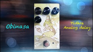 Obinasa Yidhra Analog Delay test by Jimmy Lin (No Talking)