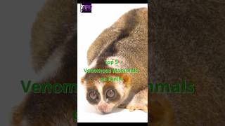 Download lagu Top 5 Venomous Mammals on Earth. mp3