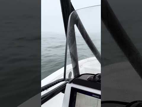 Simrad NSX Radar in Action in Heavy Fog