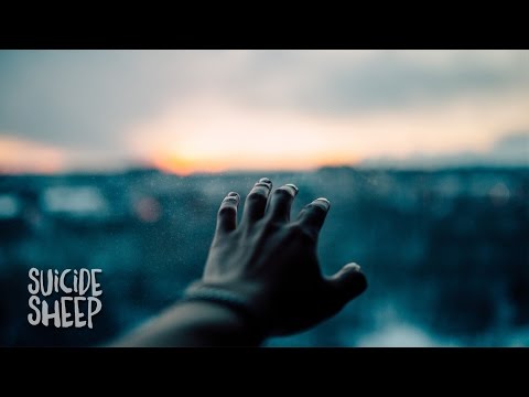 Julien Marchal - Insight XIV