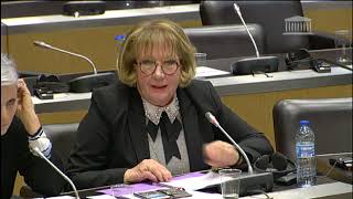 Commission du developpement durable / Audition de Mme Anne-Marie Couderc et M. Benjamin Smith, repré