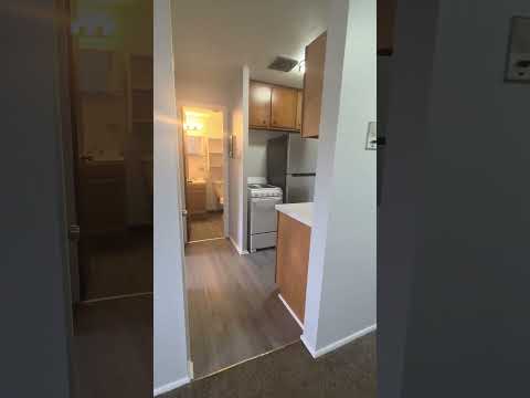 21 Olive - Video 2 of 2
