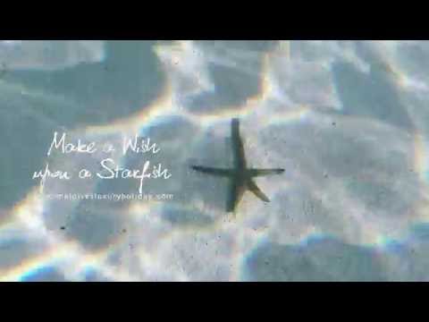download lagu mp3 mp4 Make A Wish Upon A Starfish Sign, download lagu Make A Wish Upon A Starfish Sign gratis, unduh video klip Make A Wish Upon A Starfish Sign