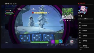 フォートナイトスイッチサーバーでやっていくよ