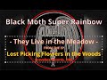 Black Moth Super Rainbow - They Live in the Meadow