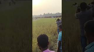 Race Horse comes back to life. Amazing video in horse racing