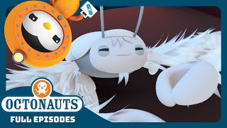 Download lagu @Octonauts - ✨ The Yeti Crab 🦀 | Season 3 | Full Episodes | Cartoons for Kids mp3