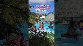 Ах, Гондурас, Гондурас ! HONDURAS ROATAN #honduras #mscdivina #roatan #umarkeyn #4k #cruise #круизы