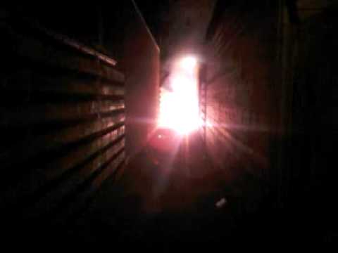 700 strijkers 40 nitraate 10 supervlinders @terheijden 2009