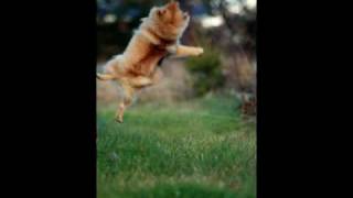 Some photos taken by Marko Meri