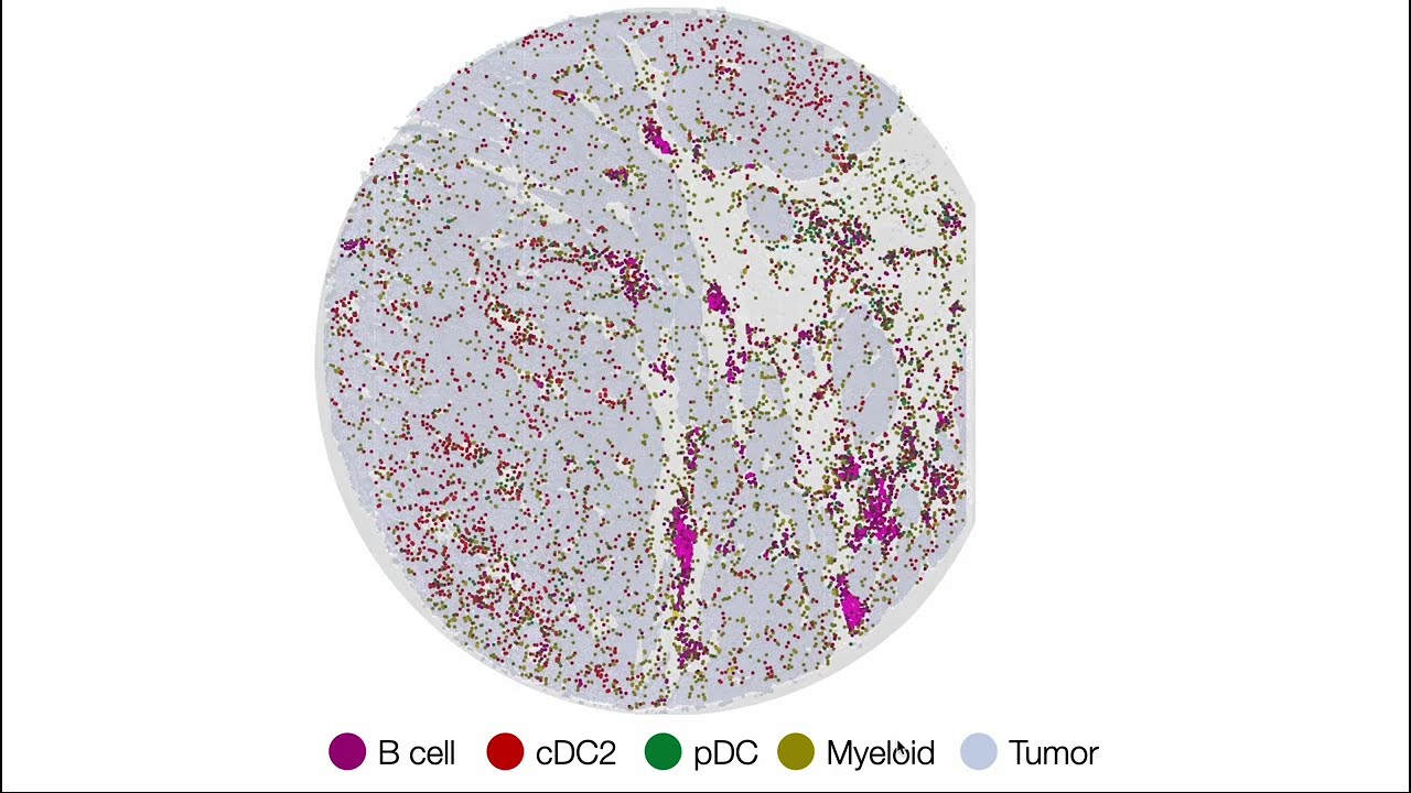 KDD 2024 - A Uniformly Bounded Correlation Function