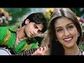 Chand Tare Phool 4K Video Tum Se Achcha Kaun Hai Nakul Kapoor 90 S Best Romantic Songs