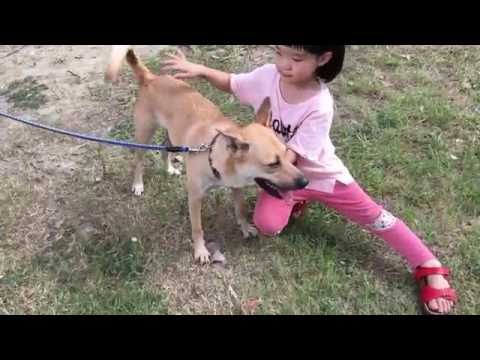 Alima is good with kid