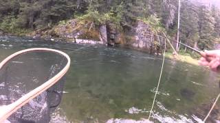 Fishing the North Fork of the Coeur D' alene river