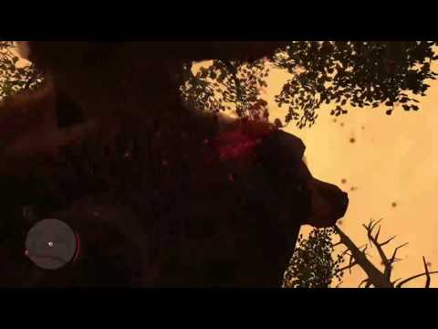Red Dead Redemption double bear kills by accident