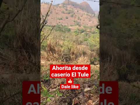 El cerro chacho desde el Caserío El Tule #explore #shorts