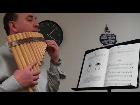 Teach yourself Pan Flute. Easy lessons. Study  1 to 8